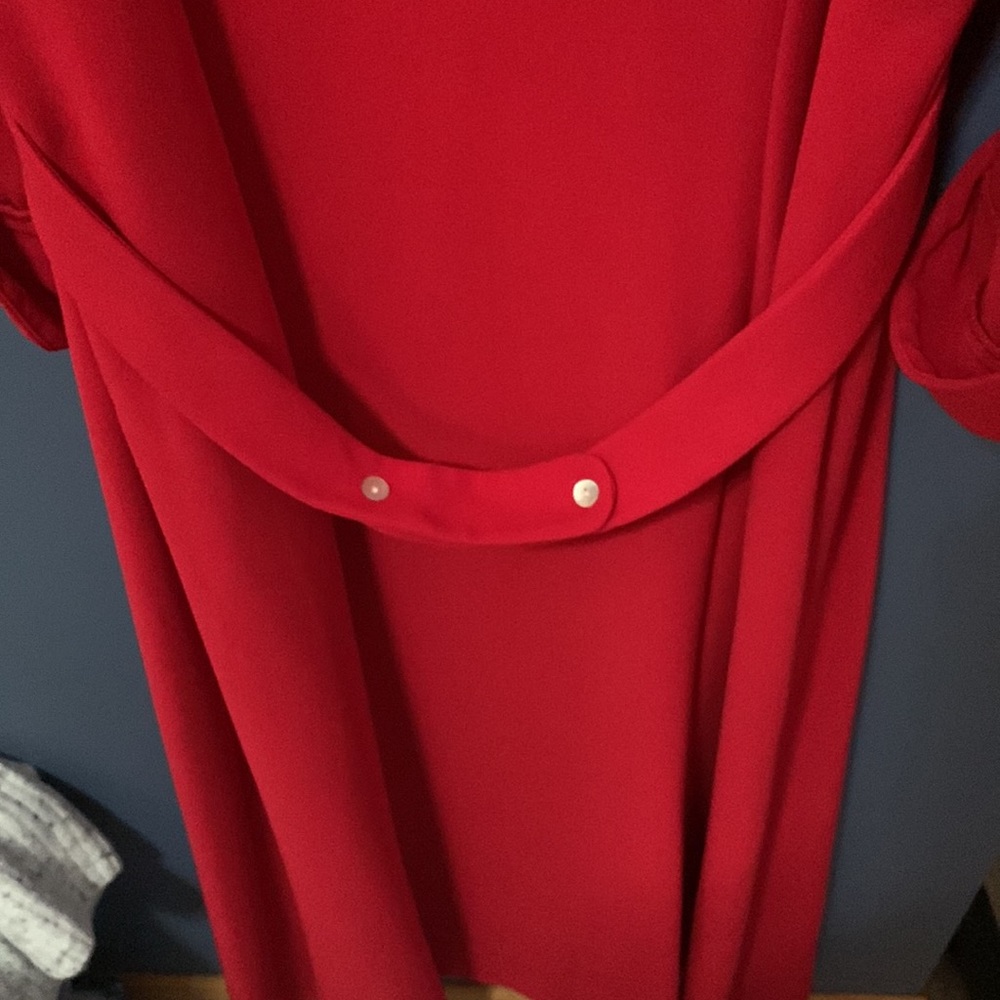 Red Collared Dress - Picture 7 of 7